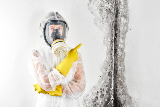 Best Mold Documentation for Insurance Claims in Norwalk, IA